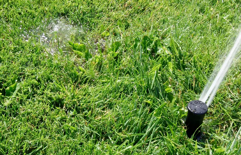 Silverback technician performing yard leak detection on a large Bulverde property
